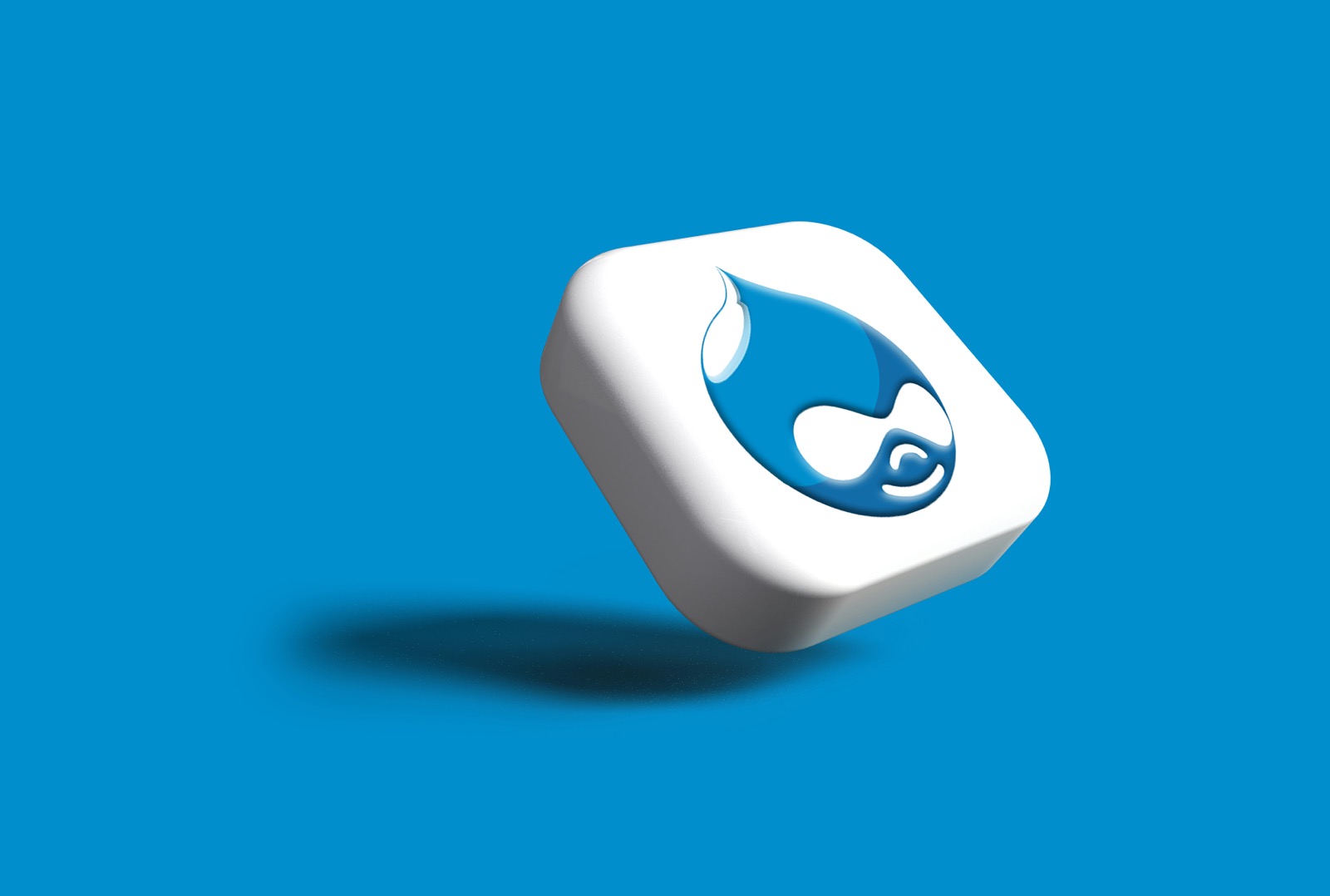 Drupal development illustration representing enterprise CMS engineering and consulting